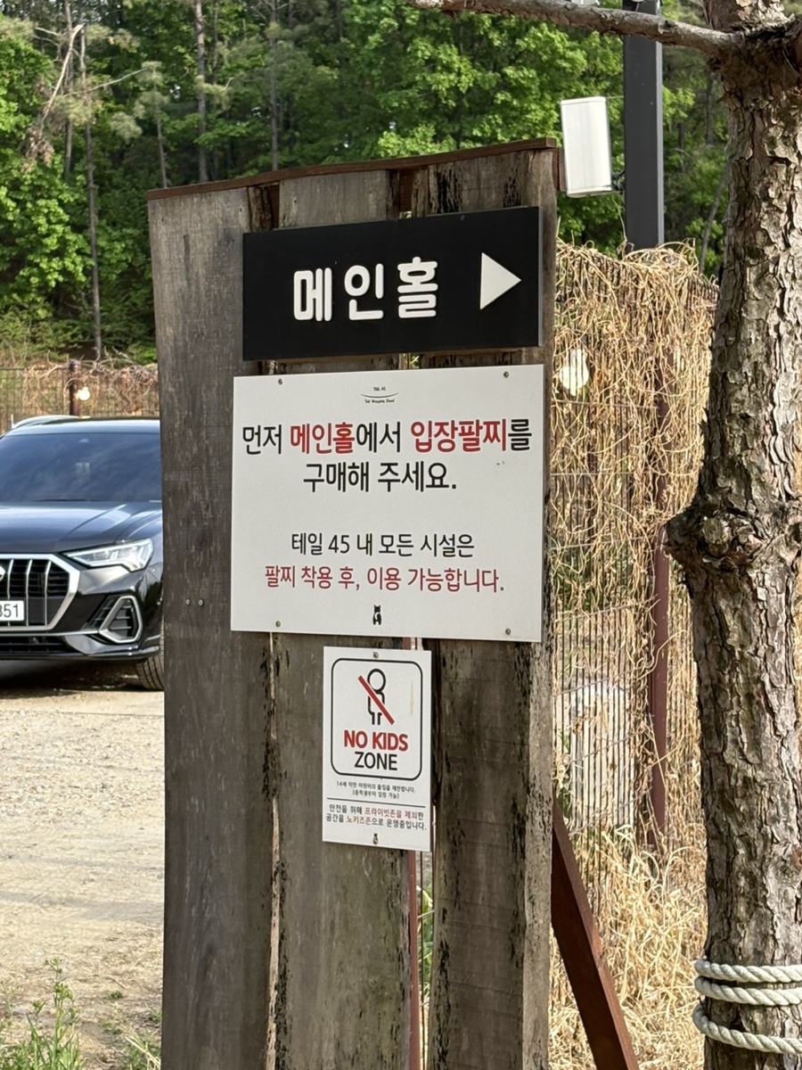 용인 애견운동장 테일45, 프라이빗 대관 강아지 놀이터 후기 — 사진 5