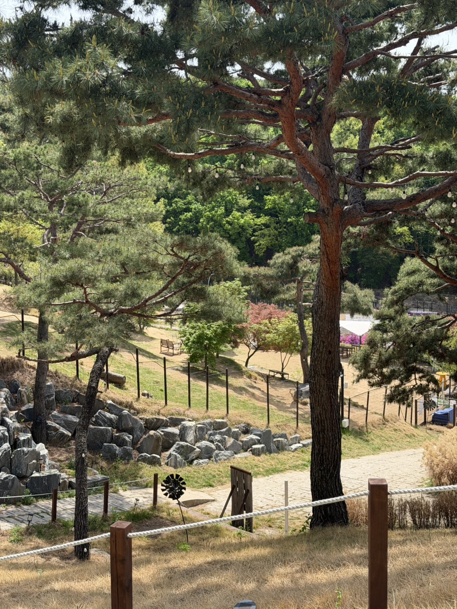 용인 애견운동장 테일45 대관 후기: 프라이빗 놀이터 비용 — 사진 2