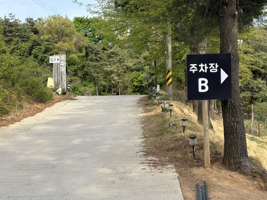 용인 애견운동장 테일45, 프라이빗 대관 강아지 놀이터 후기 — 사진 4