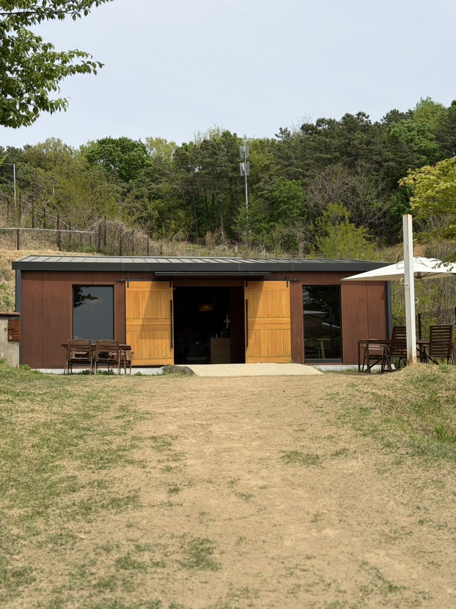 용인 애견운동장 테일45 대관 후기: 프라이빗 놀이터 비용 — 사진 3