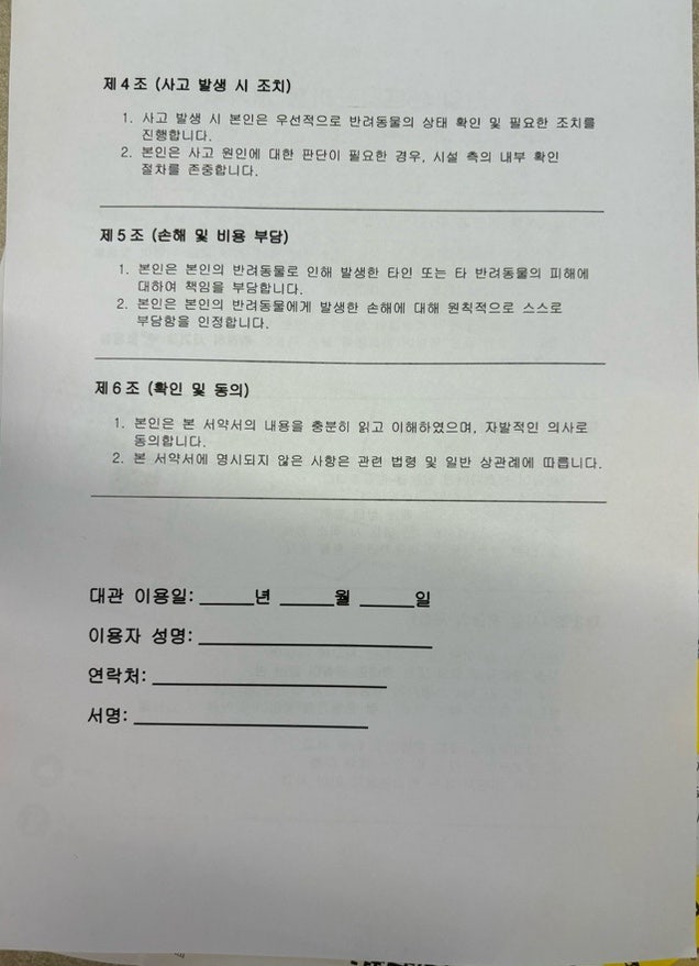 용인 애견운동장 테일45, 프라이빗 대관 강아지 놀이터 후기 — 사진 10