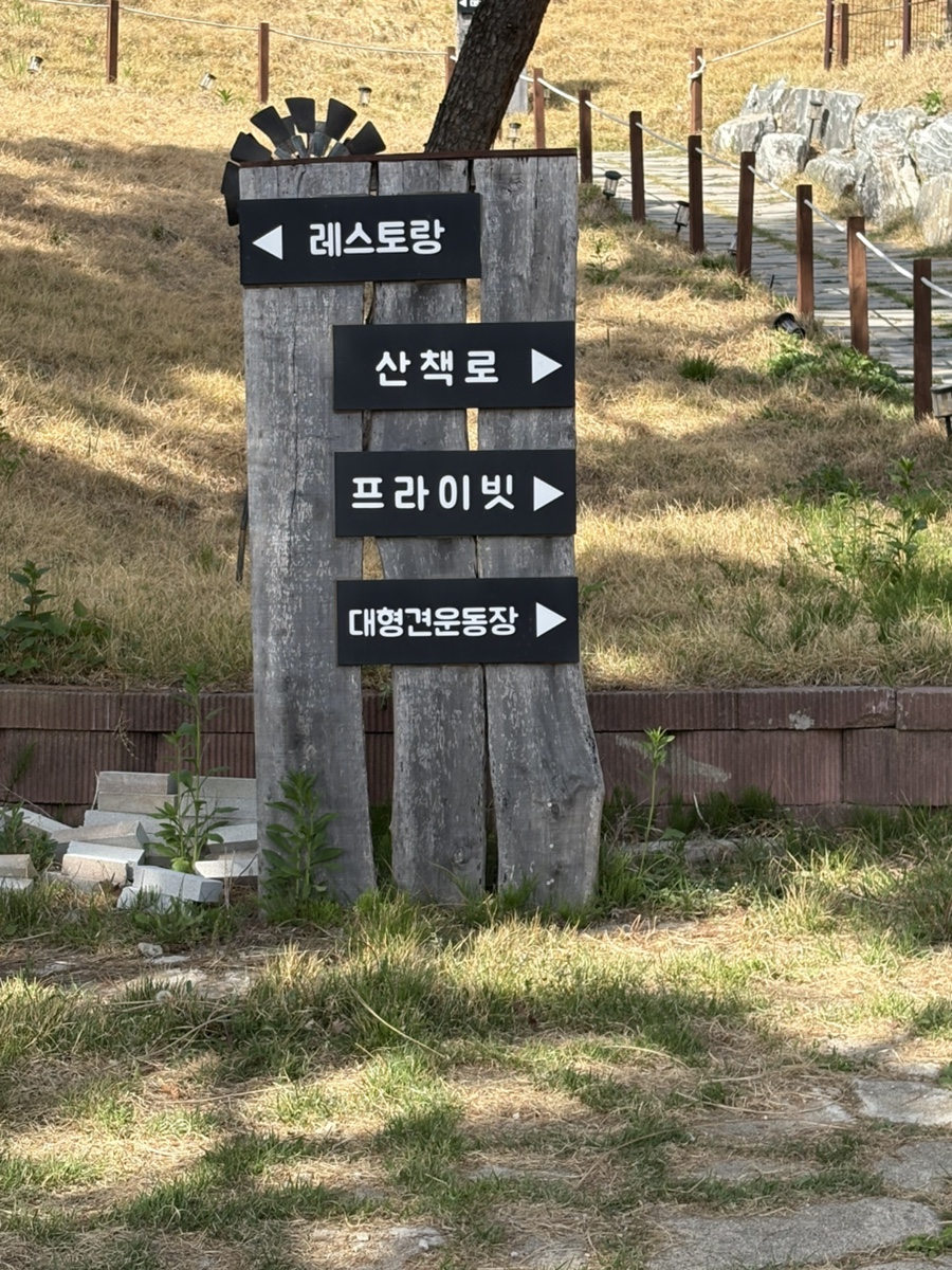 용인 애견운동장 테일45, 프라이빗 대관 강아지 놀이터 후기 — 사진 19