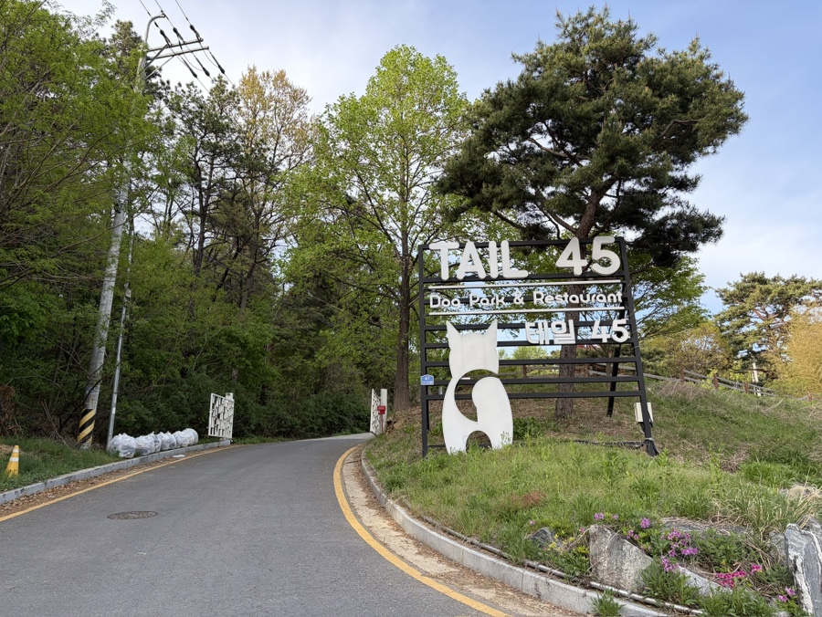 용인 애견운동장 테일45, 프라이빗 대관 강아지 놀이터 후기 — 사진 3