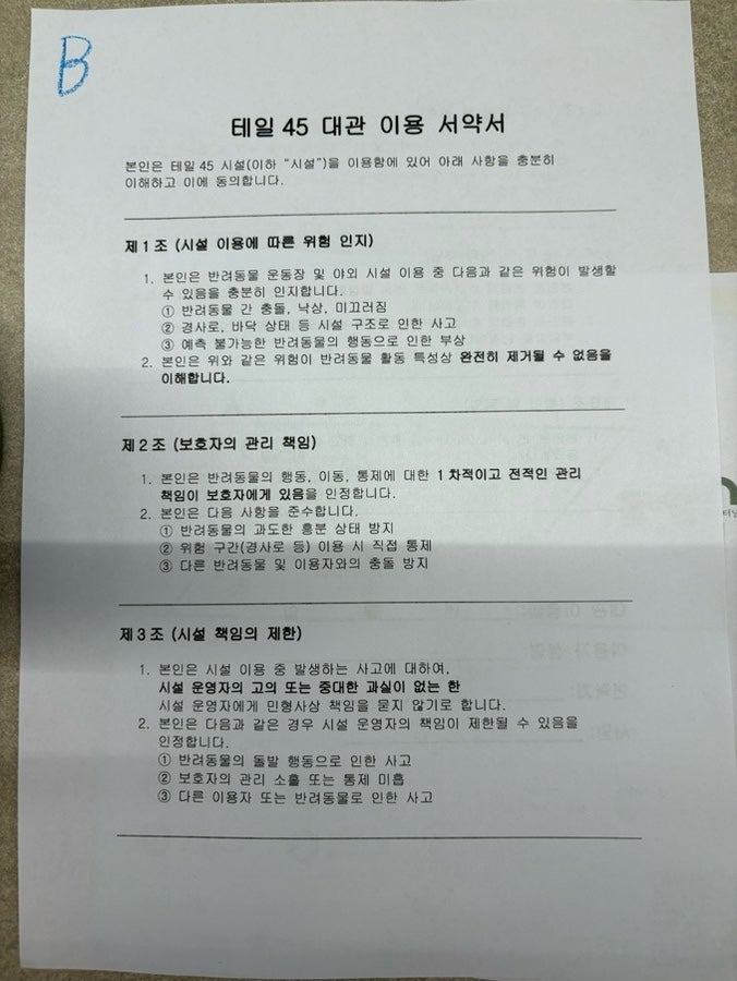 용인 애견운동장 테일45, 프라이빗 대관 강아지 놀이터 후기 — 사진 9