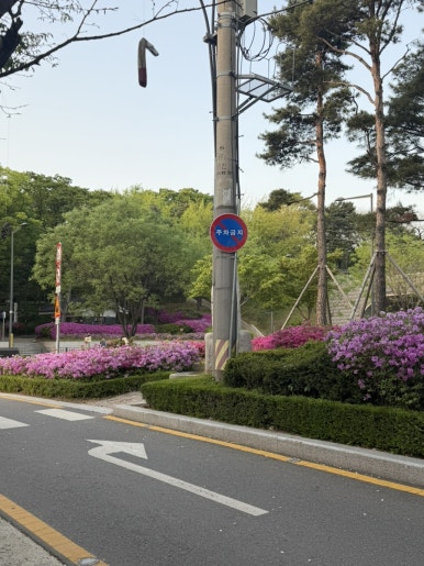 개성레코드 사진 3