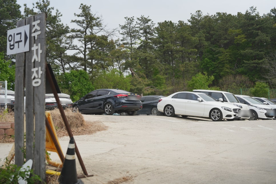 용인 테일45 강아지 운동장 & 애견카페 대관 후기 — 사진 3