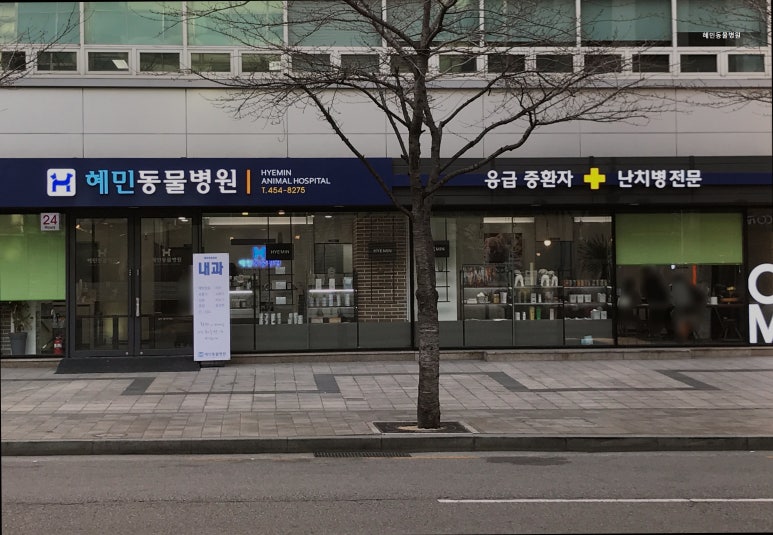 혜민동물병원