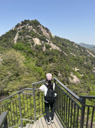 코브홉스 사진 7