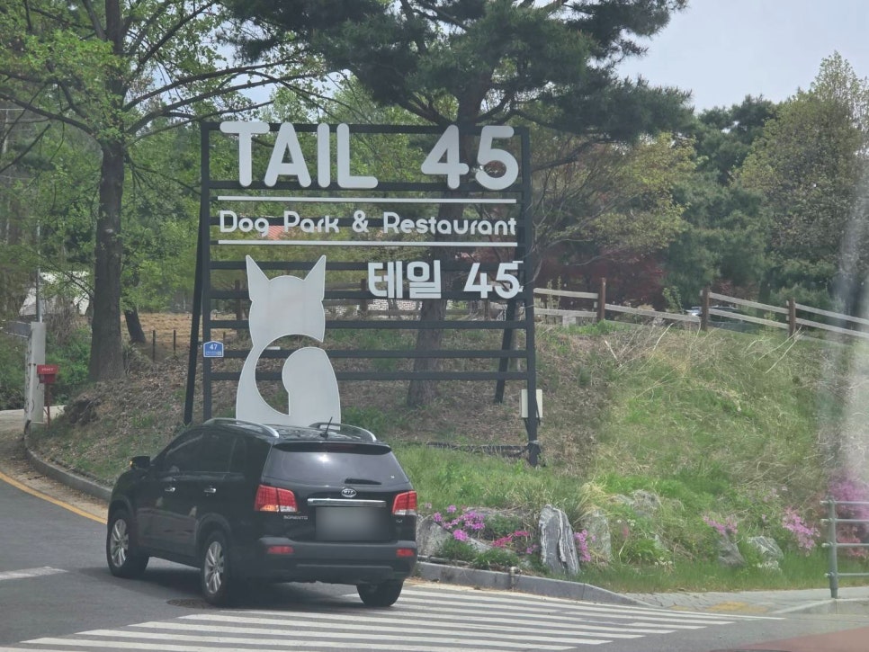 용인 테일45 강아지 운동장 & 애견카페 대관 후기 — 사진 2