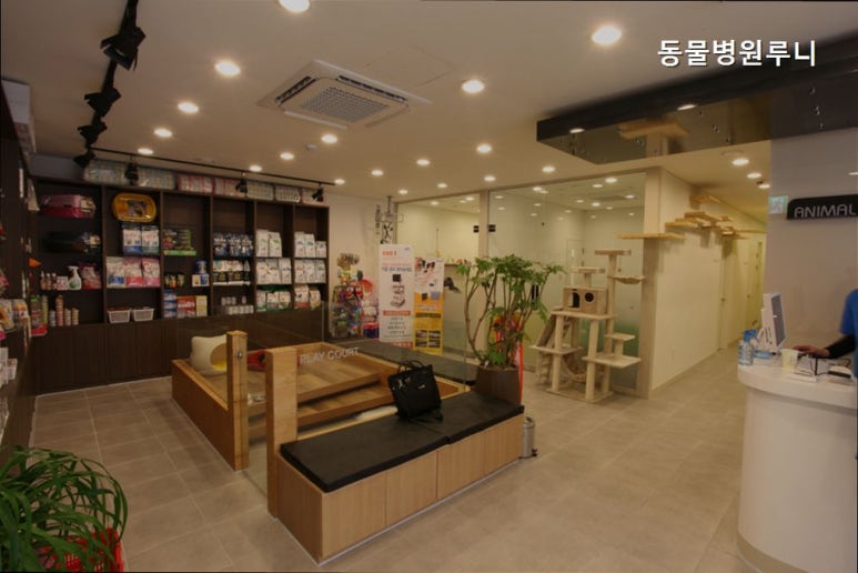 루니