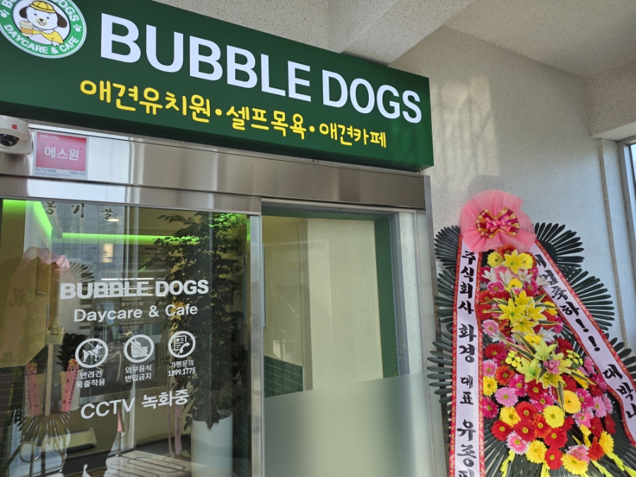 버블독스 후기: 부평 애견 셀프 목욕 & 무인 카페 이용기 — 사진 2