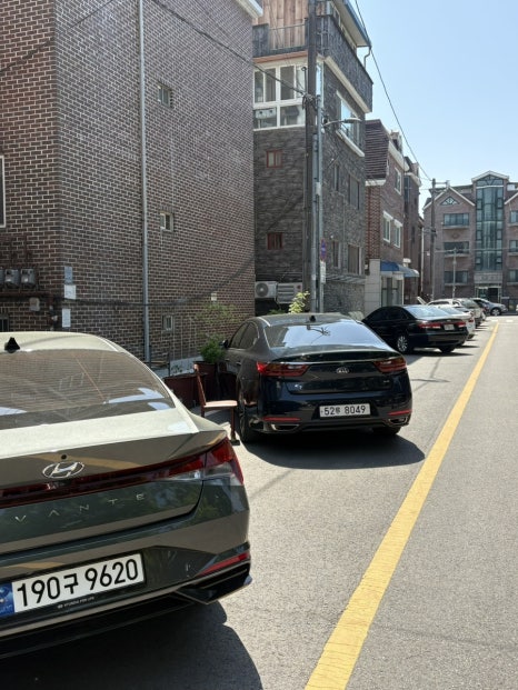 노닌 사진 6