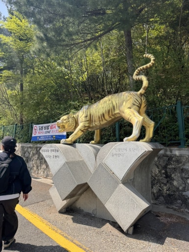 코브홉스 사진 8