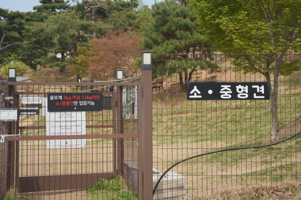 용인 테일45 강아지 운동장 & 애견카페 대관 후기 — 사진 4