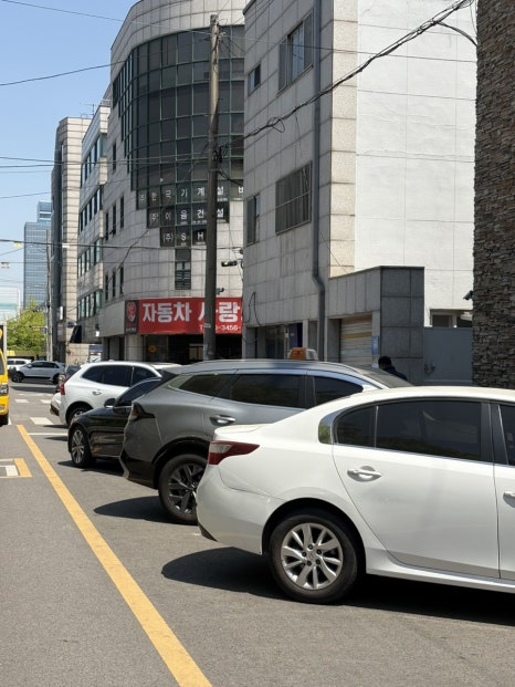 노닌 사진 7