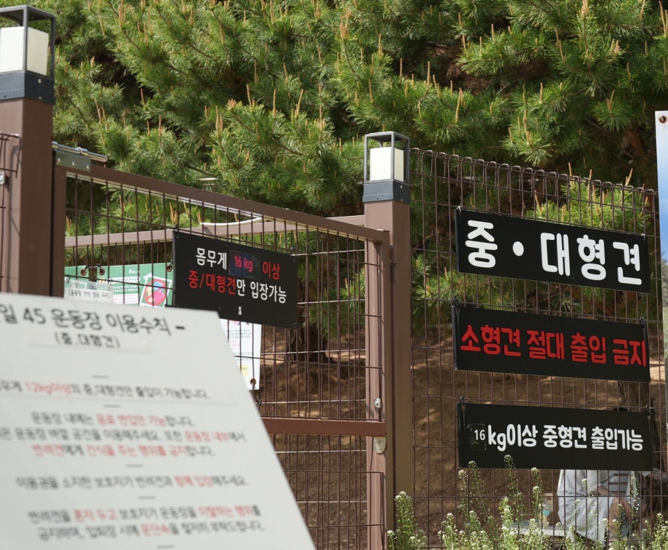 용인 테일45 강아지 운동장 & 애견카페 대관 후기 — 사진 5