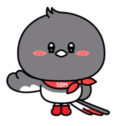 브로콜리 지역정보 관련 사진 2