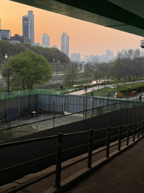 박찬숙순대국 사진 8