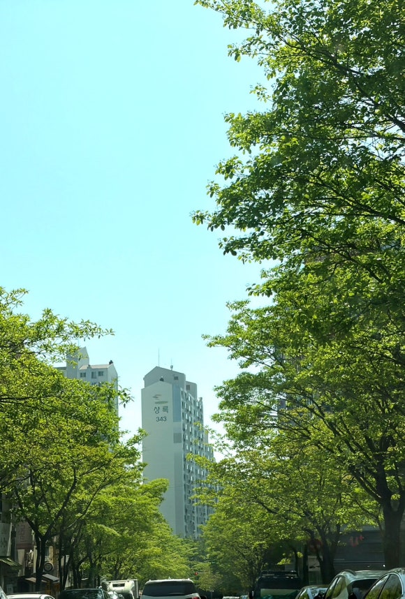 청기와뼈다귀해장국감자탕 사진 7