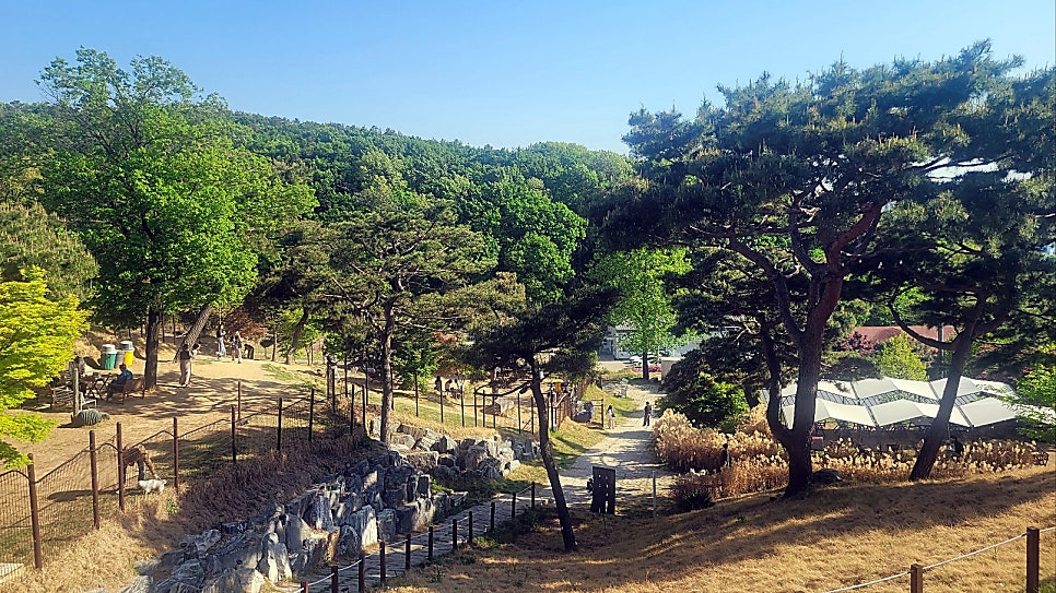 용인 애견카페 테일45, 프라이빗 B동 대관 후기 — 사진 9