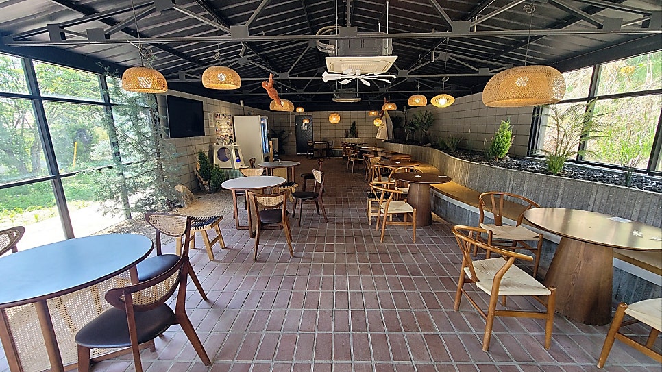 용인 애견카페 테일45, 프라이빗 B동 대관 후기 — 사진 20