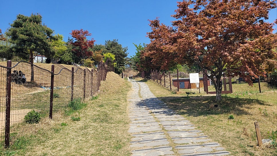 용인 애견카페 테일45, 프라이빗 B동 대관 후기 — 사진 12