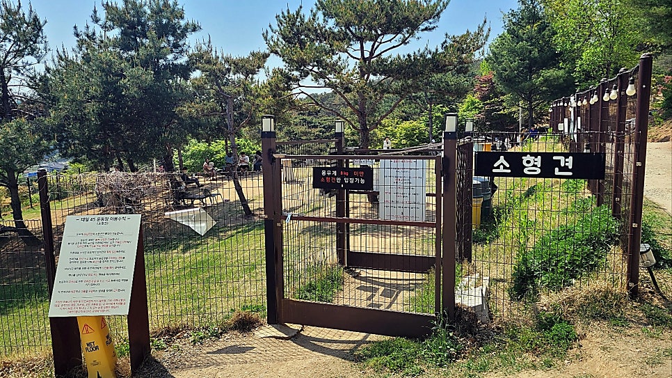 용인 애견카페 테일45, 프라이빗 B동 대관 후기 — 사진 7