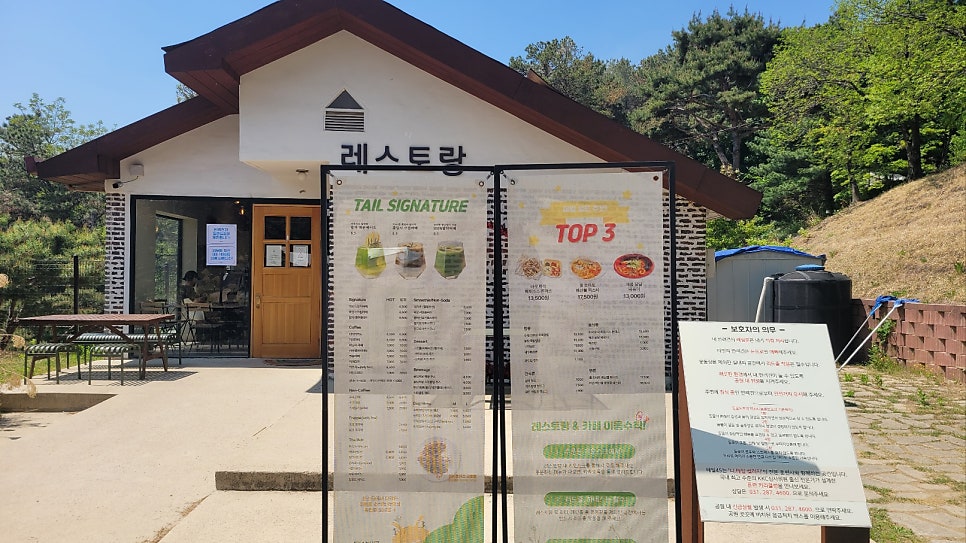 용인 애견카페 테일45, 프라이빗 B동 대관 후기 — 사진 17