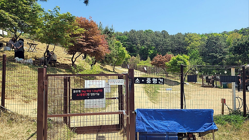 용인 애견카페 테일45, 프라이빗 B동 대관 후기 — 사진 8
