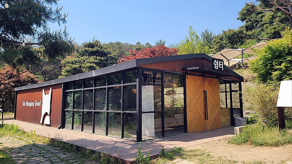용인 애견카페 테일45, 프라이빗 B동 대관 후기 — 사진 19