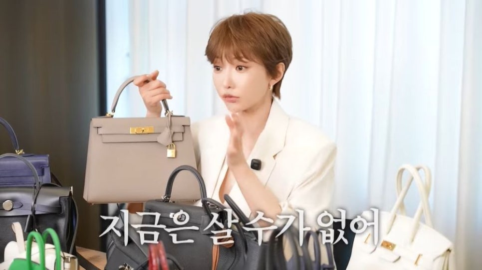 고준희 20년 모은 에르메스 가방 공개 근황 예상과 전혀 다른 반응이 나온 이유 뭘까 이미지 2
