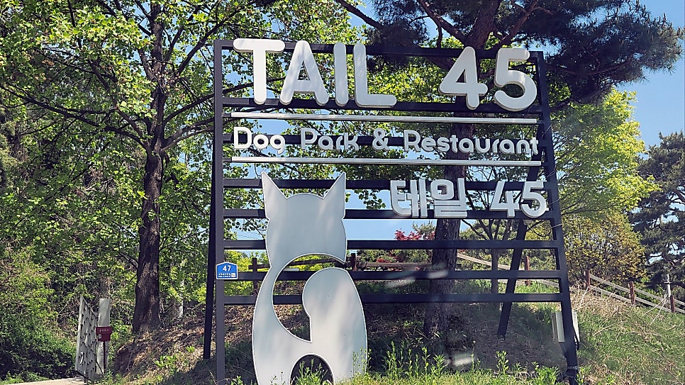 용인 애견카페 테일45, 프라이빗 B동 대관 후기