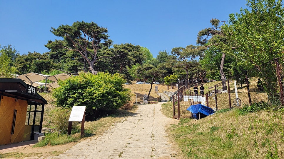 용인 애견카페 테일45, 프라이빗 B동 대관 후기 — 사진 10
