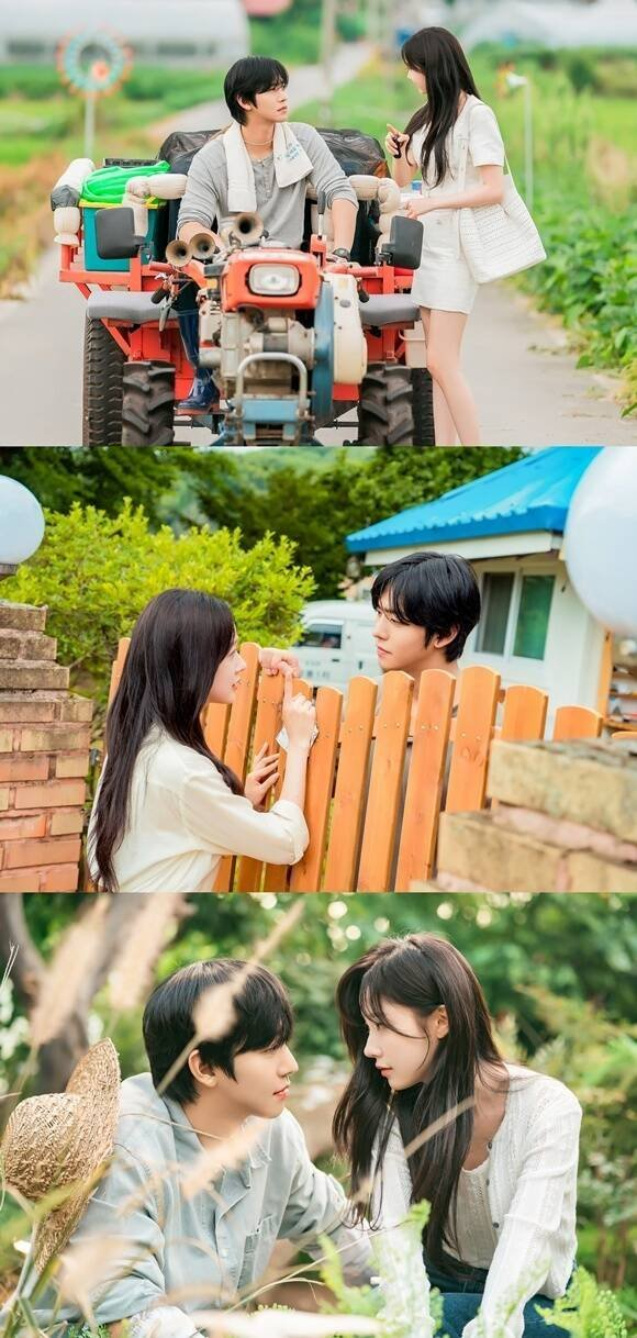 안효섭 사기꾼 연기 찬사 기록 이후 시선이 달라졌다 이미지 4