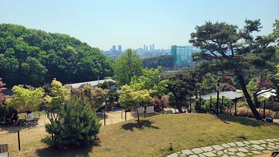 용인 애견카페 테일45, 프라이빗 B동 대관 후기 — 사진 11