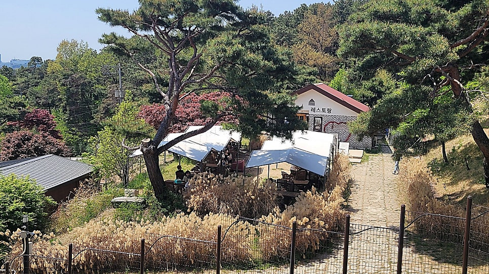 용인 애견카페 테일45, 프라이빗 B동 대관 후기 — 사진 16