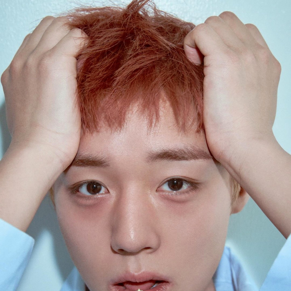 박지훈 팬미팅 전석 매진 결과 하나로 평가가 달라진 이유 이미지 5