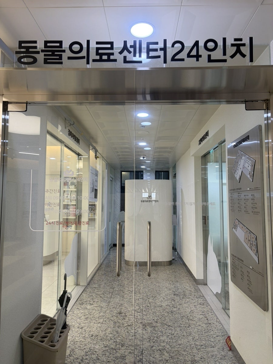 신길동물병원 24인치, 강아지 건강검진 후기 및 비용 안내 — 사진 4