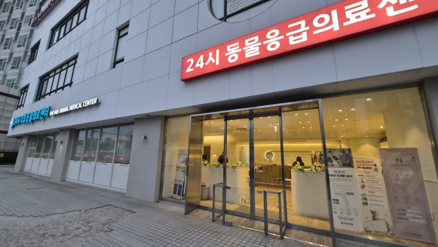 부산 24시 더휴동물의료센터 강아지 심장검진 후기