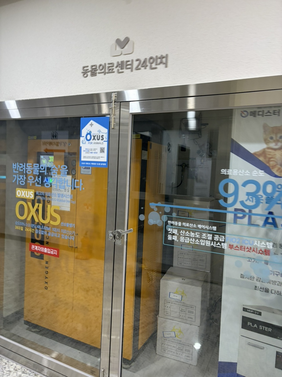 신길동물병원 24인치, 강아지 건강검진 후기 및 비용 안내 — 사진 11
