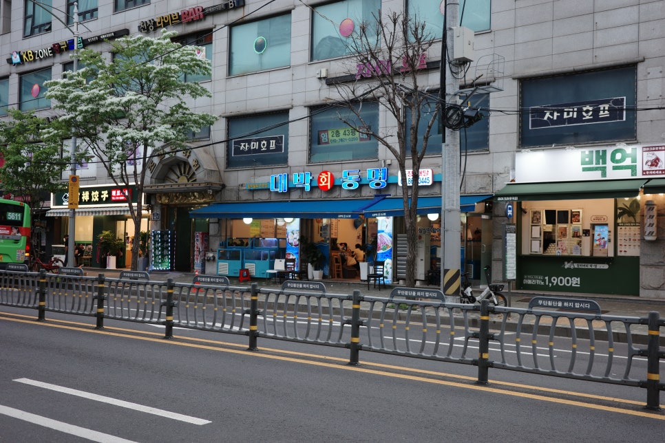 대박회동명 사진 8