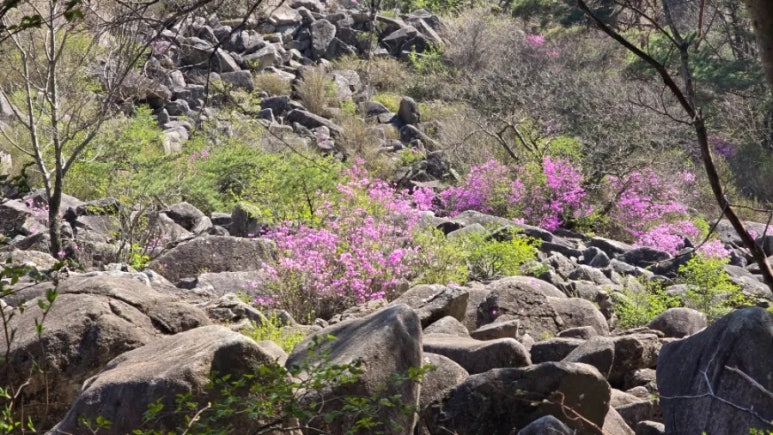 Daegyeonsa Temple