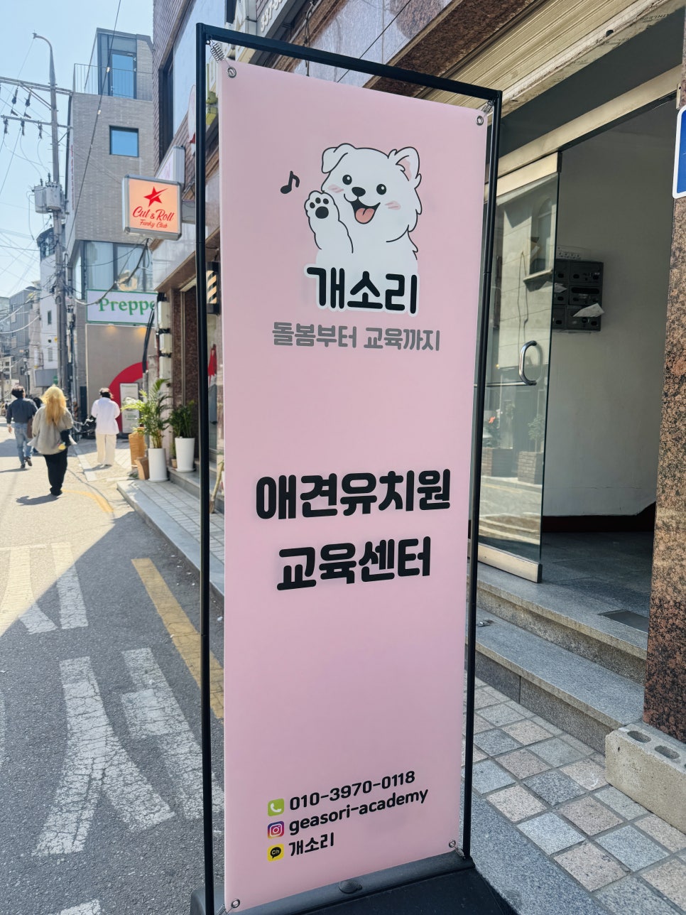 마포 개소리애견유치원, 강아지 분리불안 교육 후기 — 사진 3