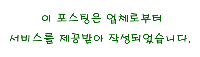 아이티동스쿨 영상편집 배우기: 다빈치 리졸브 마스터 클래스 후기 — 사진 1