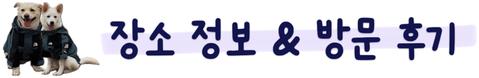 용인 기흥구 강아지 운동장, 구갈레스피아 반려견 놀이터 후기 — 사진 3