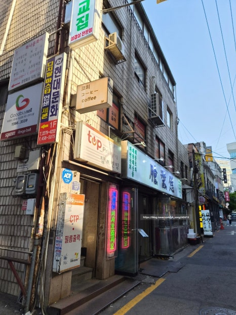 코히 사진 6