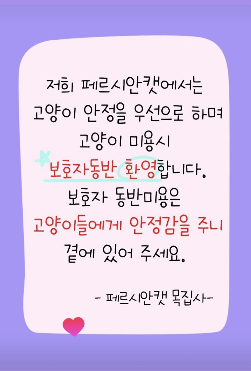 대전 고양이 미용, 페르시안캣에서 안전하고 빠른 무마취 미용 받기 — 사진 2