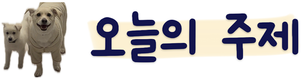 용인 기흥구 강아지 운동장, 구갈레스피아 반려견 놀이터 후기 — 사진 2
