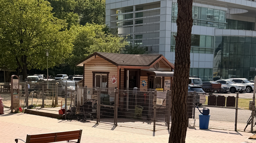 용인 기흥구 강아지 운동장, 구갈레스피아 반려견 놀이터 후기 — 사진 6
