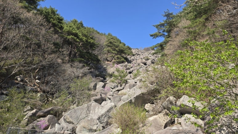 Daegyeonsa Temple